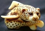 Leopard Shark